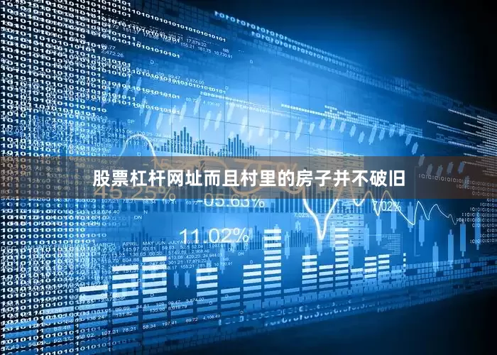 股票杠杆网址而且村里的房子并不破旧