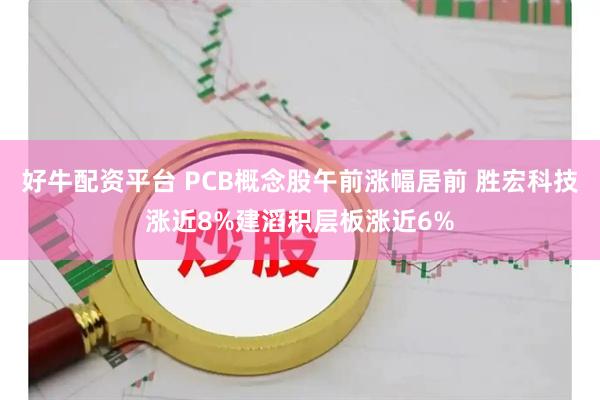 好牛配资平台 PCB概念股午前涨幅居前 胜宏科技涨近8%建滔积层板涨近6%